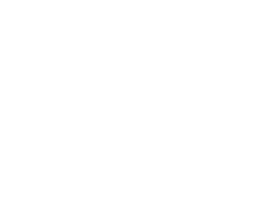 Market Velocity Logo